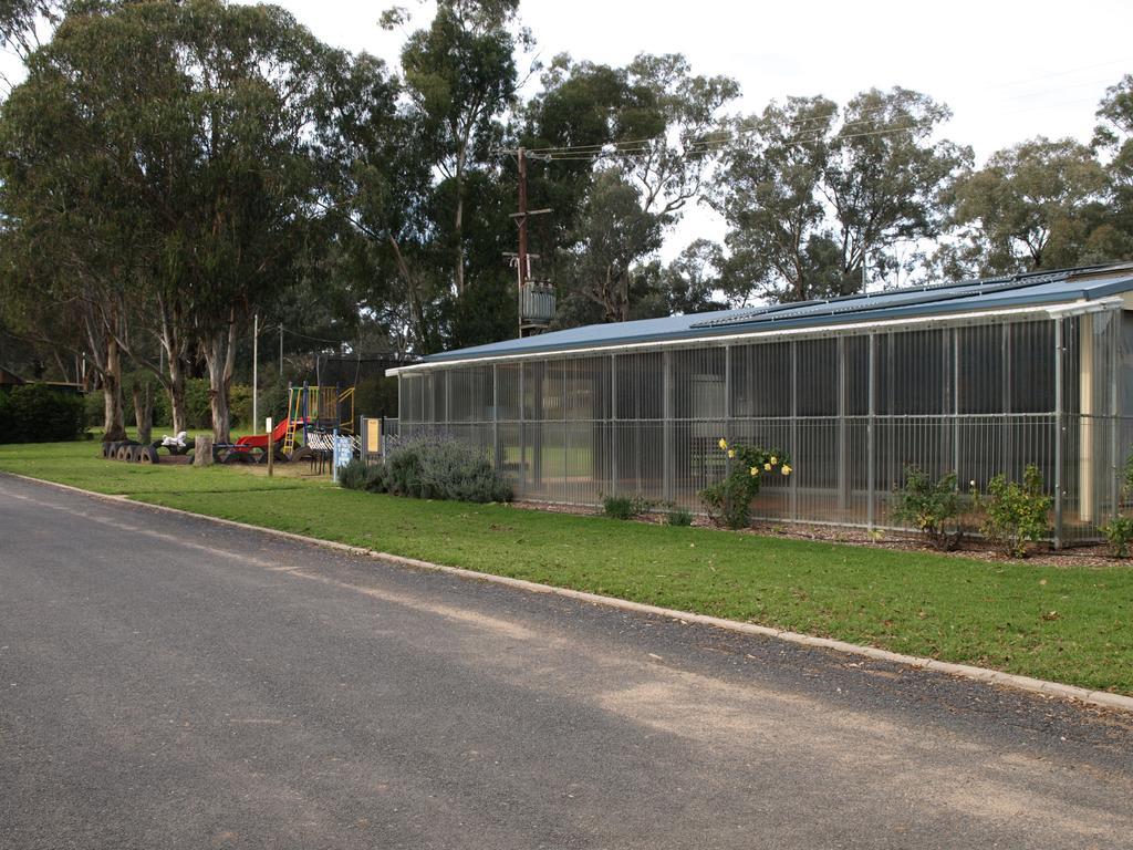 Cowra Holiday Park Exteriér fotografie